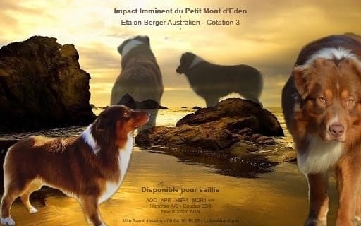 Impact imminent Du Petit Mont D'éden