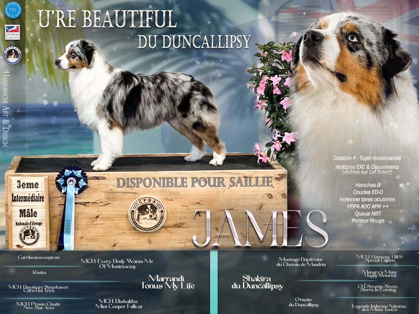 U're beautiful du Duncallipsy