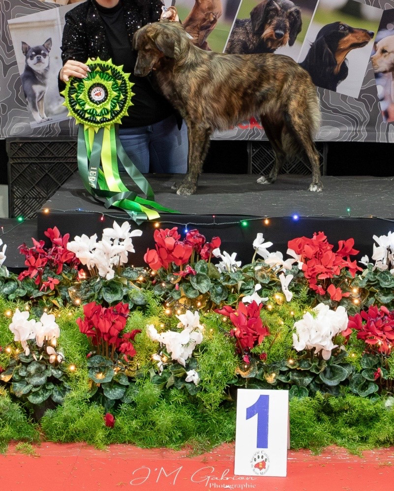 Vittoria Des Joyaux D'Orsini